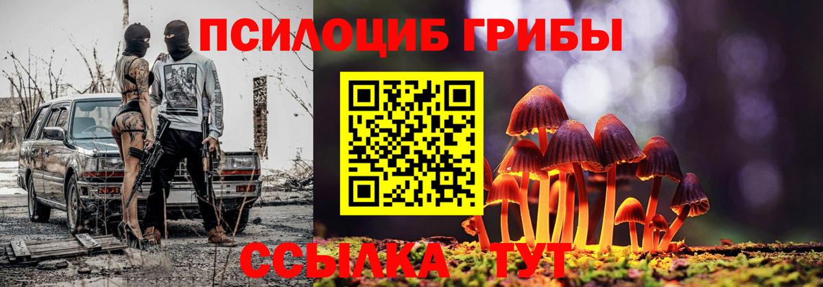 Галлюциногенные грибы прущие грибы Всеволожск